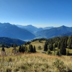 20260906_093318