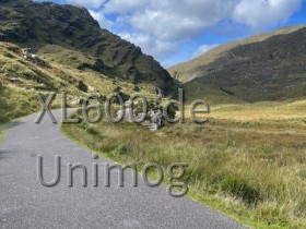 Irland 2025