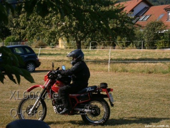 Treffen Süd 2015 - Rheinfelden Herten