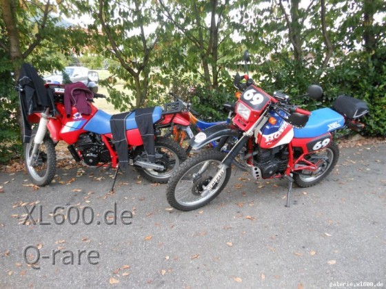 Treffen Süd 2015 - Rheinfelden Herten