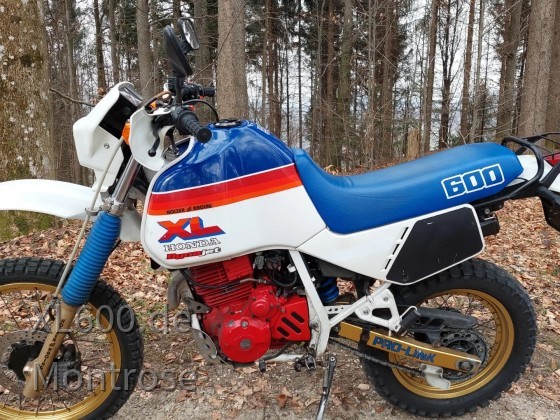 XL600LM SternenbergZH