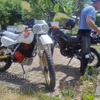 XL Treffen 2026 (9)